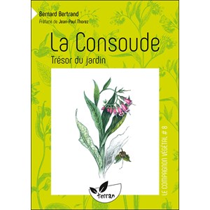 La consoude, trésor du jardin