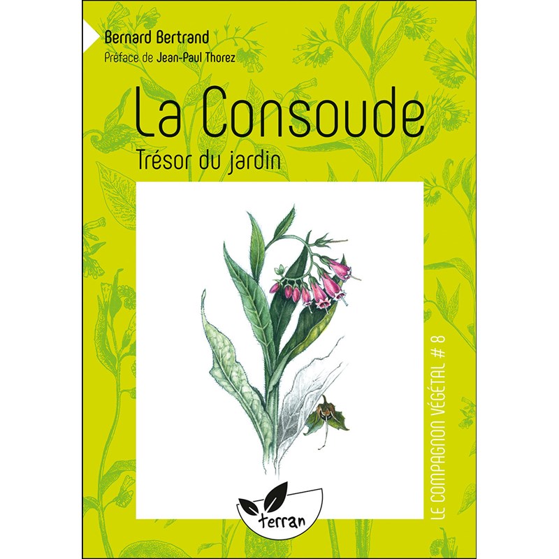 La consoude, trésor du jardin