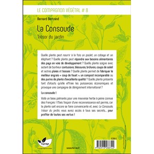 La consoude, trésor du jardin
