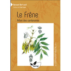 Le frêne, arbre des centenaires