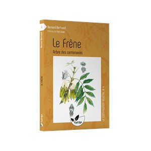 Le frêne, arbre des centenaires