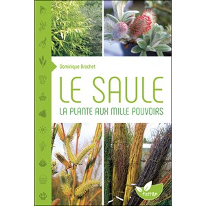 Le saule