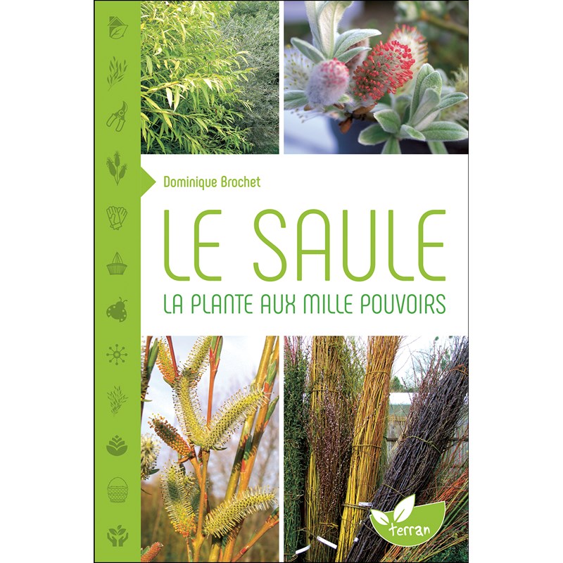 Editions Terran - Le saule