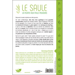 Le saule