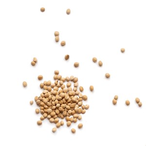 Bouillotte sèche yoga - cerises