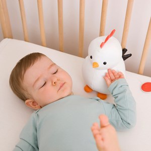 Animaux musicaux, paulette la poule