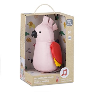 Animaux musicaux, paris la perruche