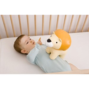 Animaux musicaux, jackson le lion