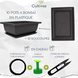 Lot de 10 pots bonsaï