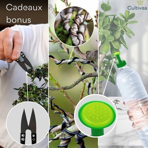 Lot de 10 pots bonsaï