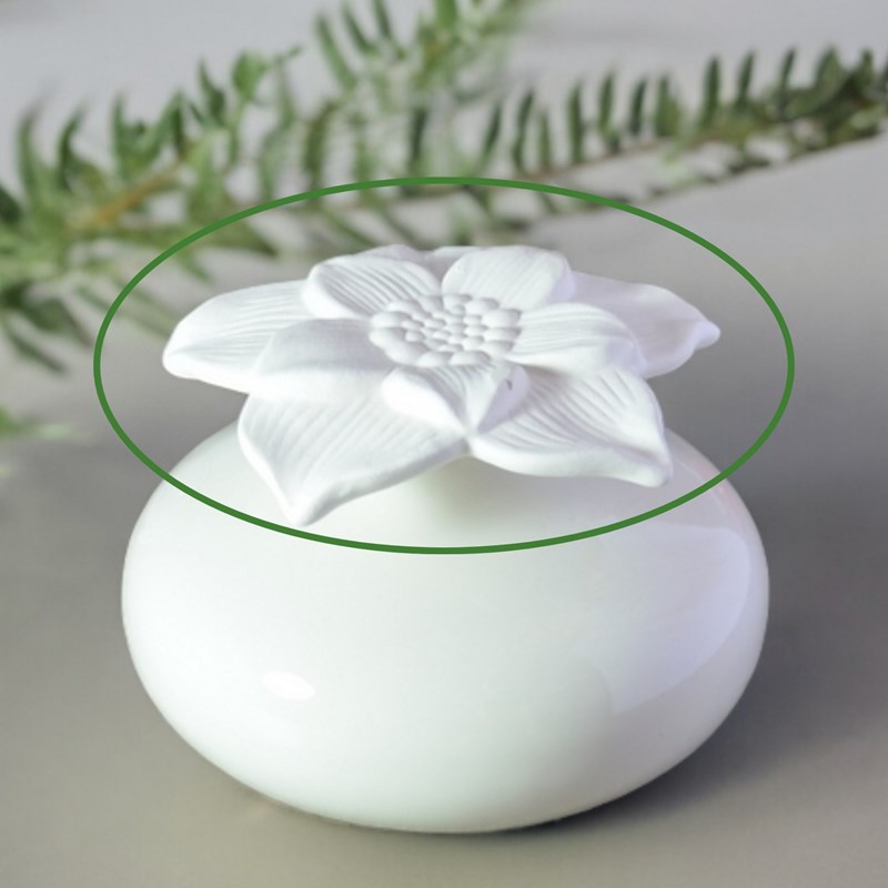 Fleur pour diffuseur par capillarité