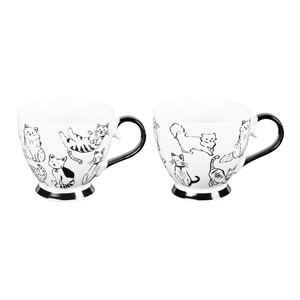 Lot de 2 déjeuners mistigris 44 cl