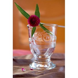 Gobelet anduze 22 cl x6