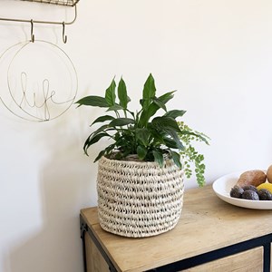 Panier cache-pot en palmier pour toutes