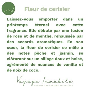 Bougie végétale - verre ankara cerise -