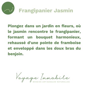 Bougie végétale - coupe sencha écru -