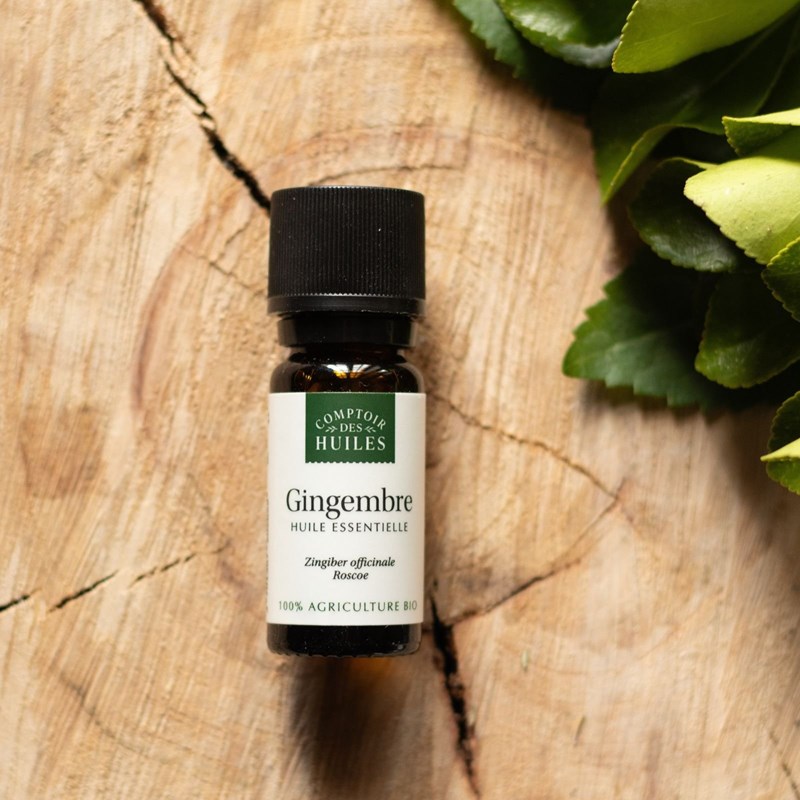 Huile essentielle de gingembre