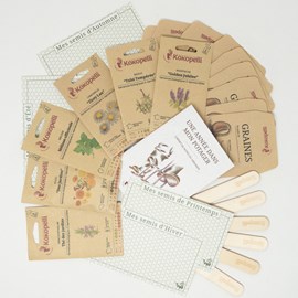Coffret de graines bio mes plantes à tis