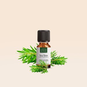 Huile essentielle de tea tree