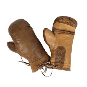 Paire de gants de boxe déco
