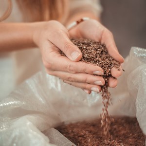 Coussin yeux lin lavande - arbor