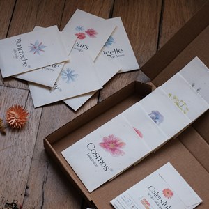 Coffret fleurs • 12 sachets de graines