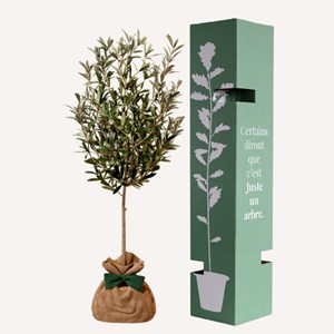 Olivier - idée cadeau