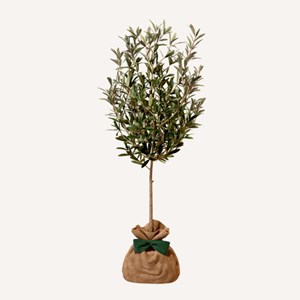 Olivier - idée cadeau