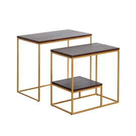 Set de deux consoles en bois et métal