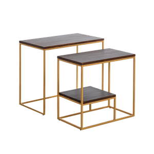 Set de deux consoles en bois et métal