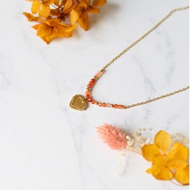 Collier connexion aux éléments passion