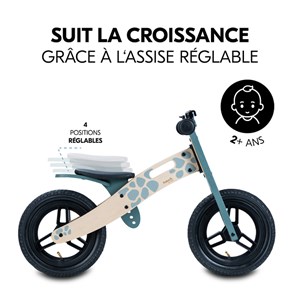 Draisienne balance n ride turtle