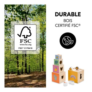 Cubes à empiler en bois coloré