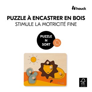 Jouet à encastrer n sort lion