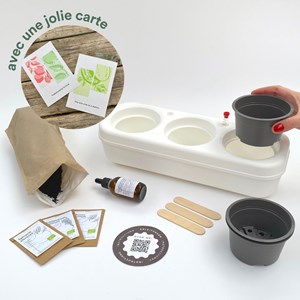 Kit potager 3 aromatiques