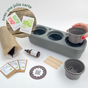 Kit potager - laitue et aromates