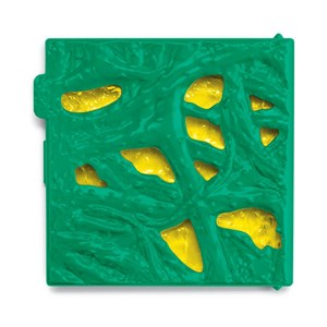 Battlecave tarentule de la jungle