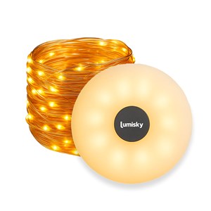 Guirlande lumineuse portable blanc roly
