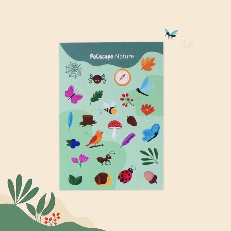 Petiscope - trésors des profondeurs