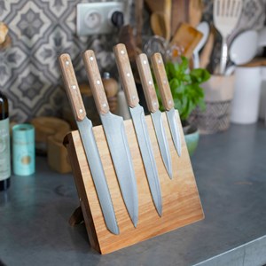 Set de 5 couteaux et support magnétique