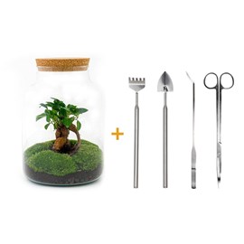 Kit terrarium diy - mila
