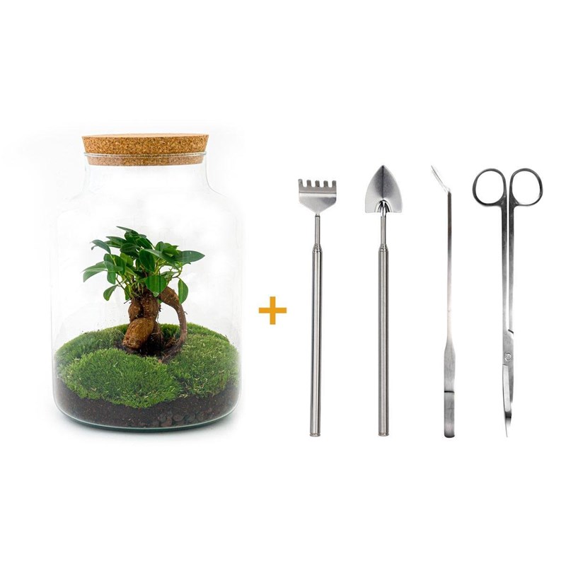 Kit terrarium diy - mila