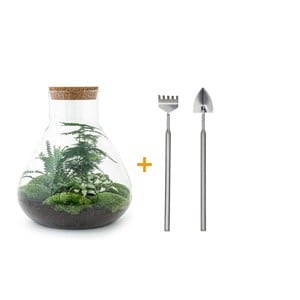 Kit terrarium diy - samos