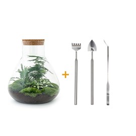 Kit terrarium diy - samos