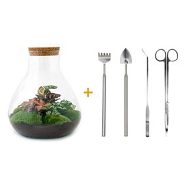 Kit terrarium diy - samos
