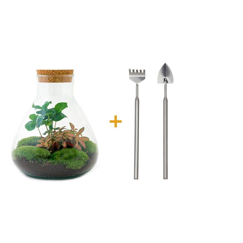 Kit terrarium diy - sama