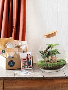 Kit terrarium diy - doorn