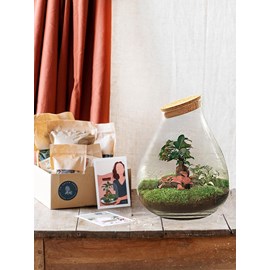 Kit terrarium diy - doorn