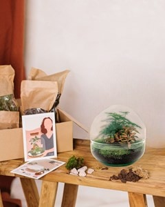 Kit terrarium diy - dome