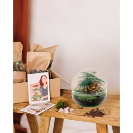 Kit terrarium diy - dome
